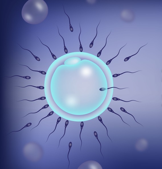IVF Treatment